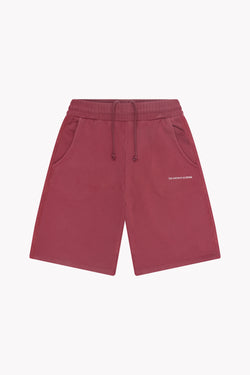 Washed Logo Jorts