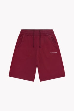 Washed Logo Jorts